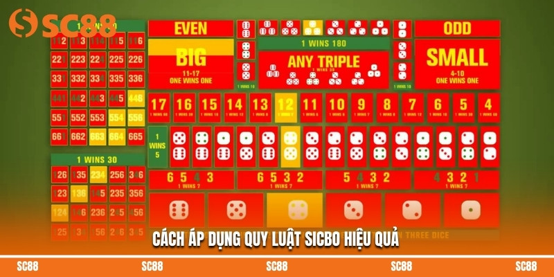 Cách áp dụng quy luật Sicbo hiệu quả