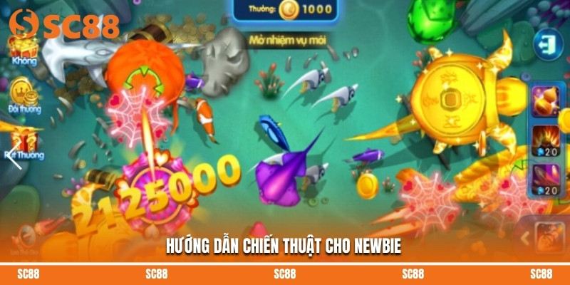 Hướng dẫn chiến thuật cho newbie